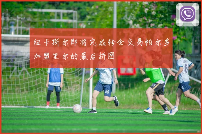 纽卡斯尔即将完成转会交易帕尔多加盟里尔的最后拼图